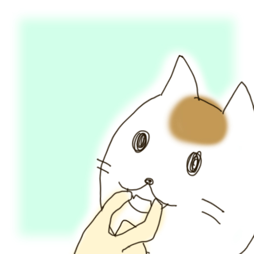 猫の歯磨き03