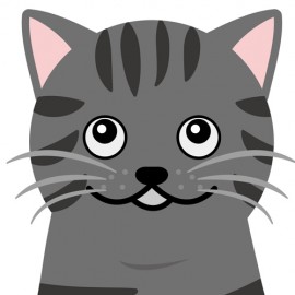 アメリカンショートヘア 性格 特徴大公開 猫の総合情報サイト ペットスマイルニュースforネコちゃん