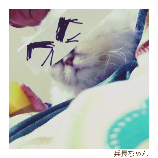 名称未設定-7