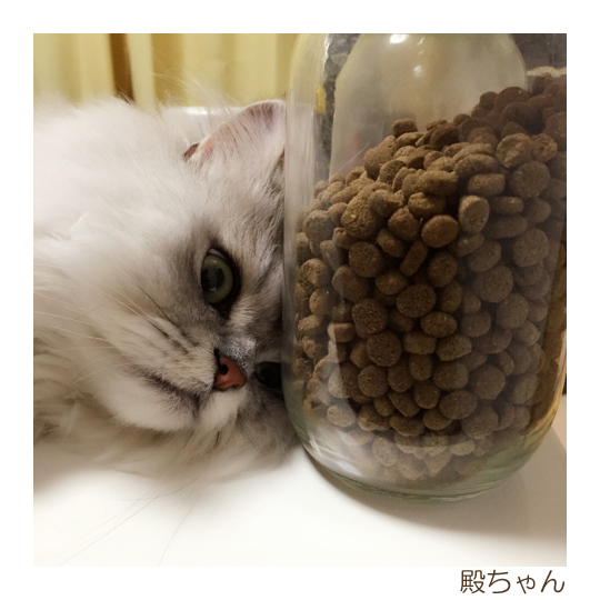 名称未設定-6