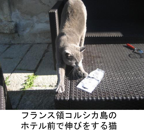 名称未設定-1