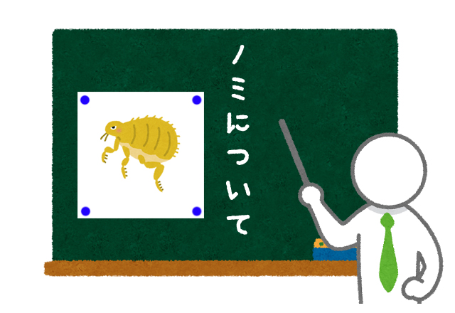 名称未設定-3