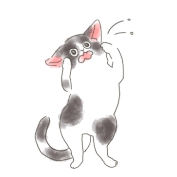 痒い_猫