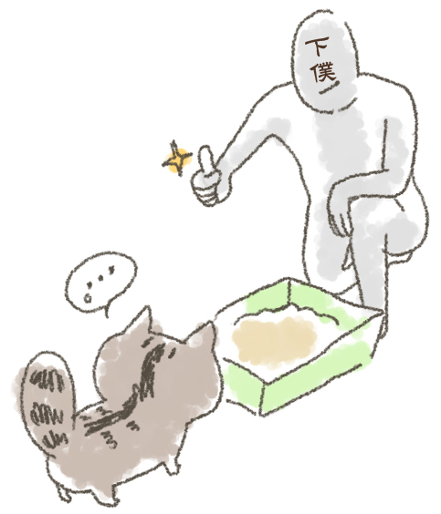毎日チェック