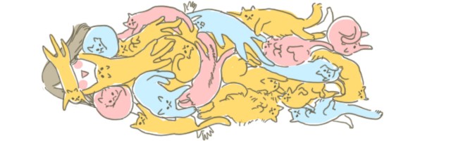猫布団