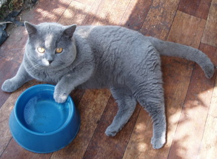 Romeo 19/10/12