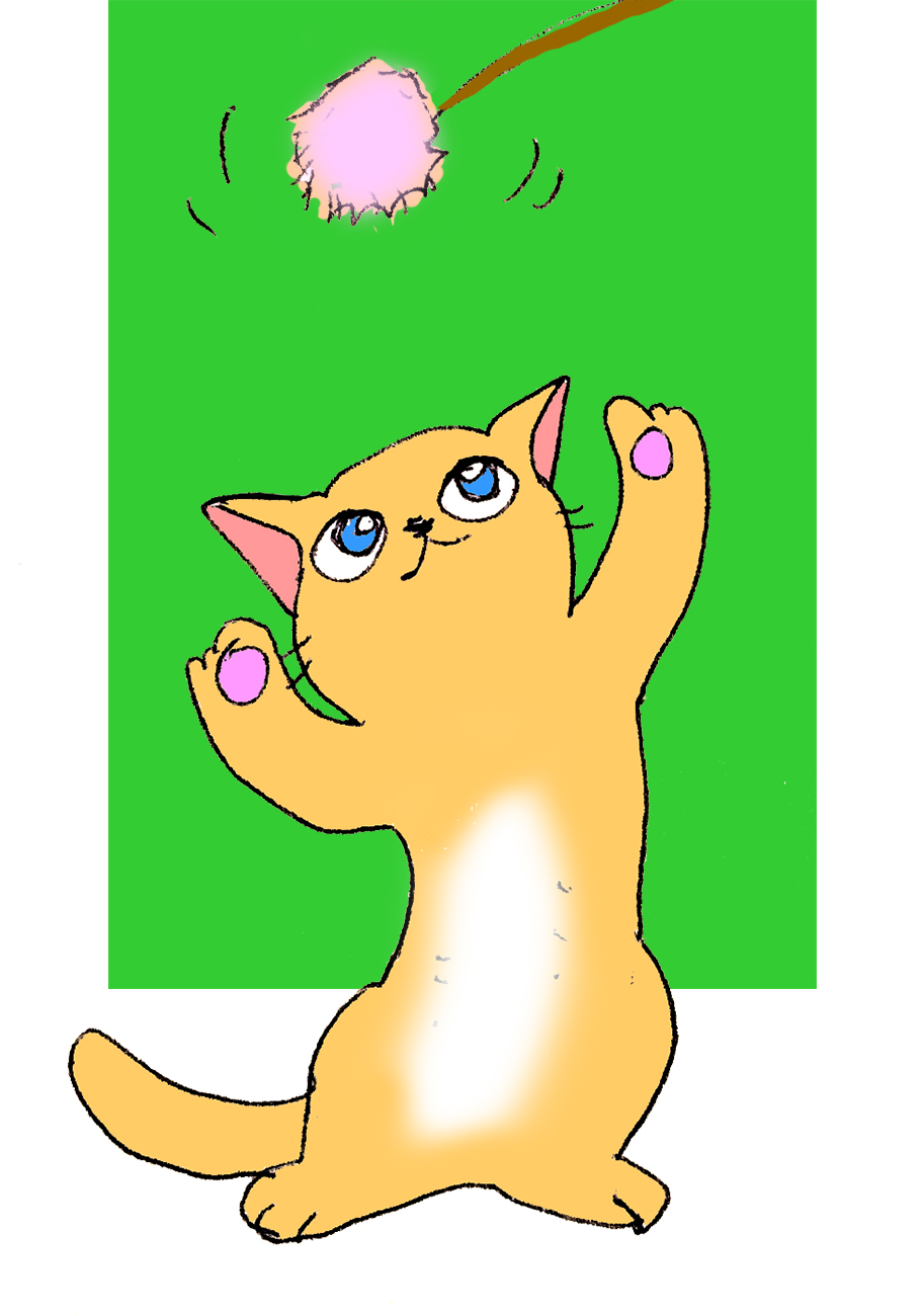 ねこじゃらしで遊ぶ