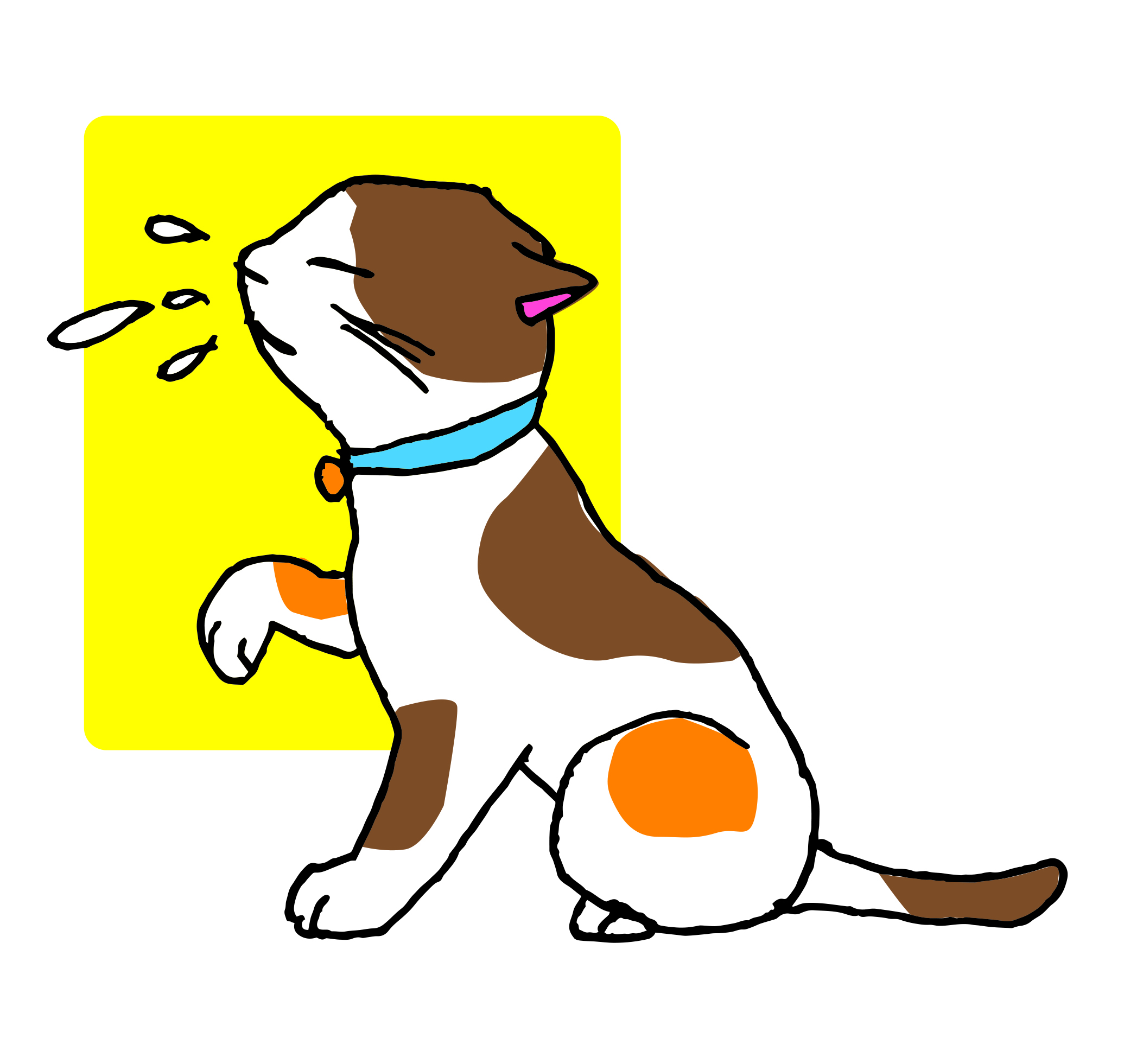 ねこはなみず