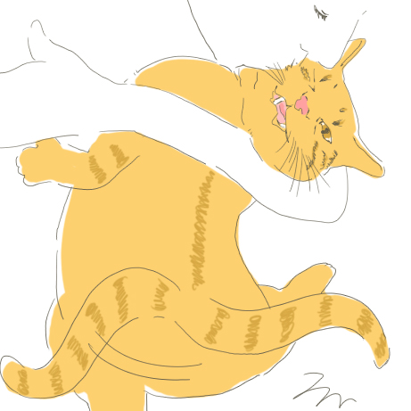 4cats_しつこい