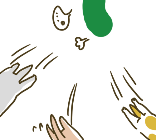 猫_逃げる