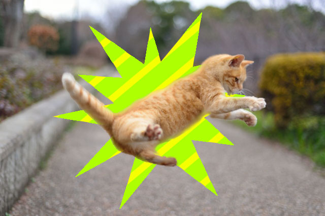 aa