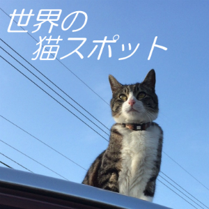 癒しを求めて、一生に一度は訪れたい世界と日本の猫スポット！