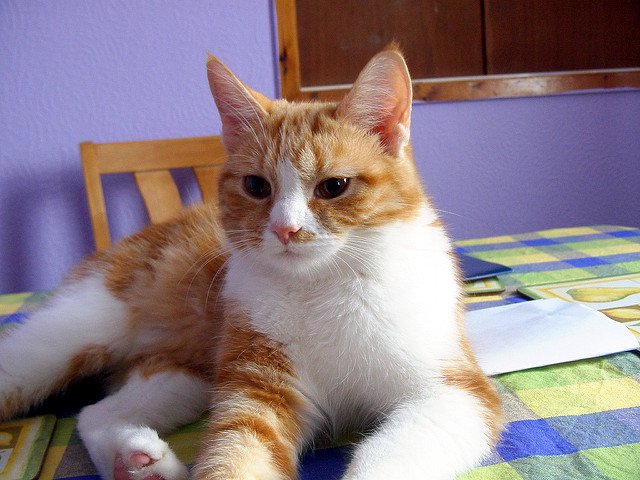 7th June 2002 at Home