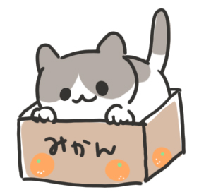 箱猫