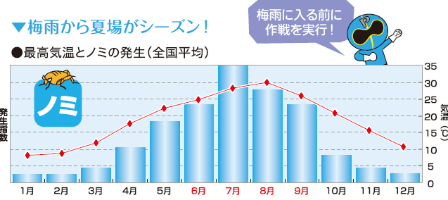 ノミ2