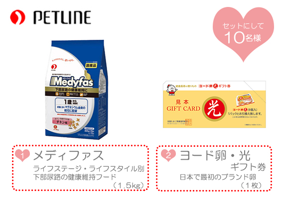 ラブレター_プレゼント猫