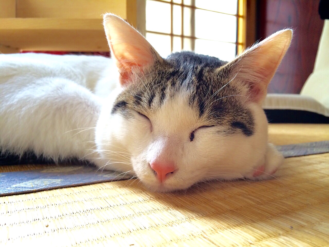 image003