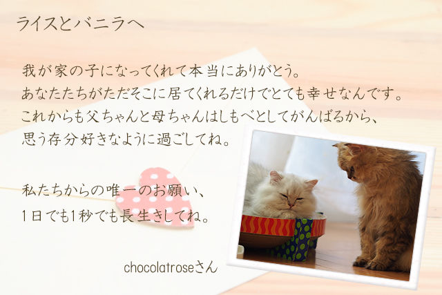 ライスとバニラ