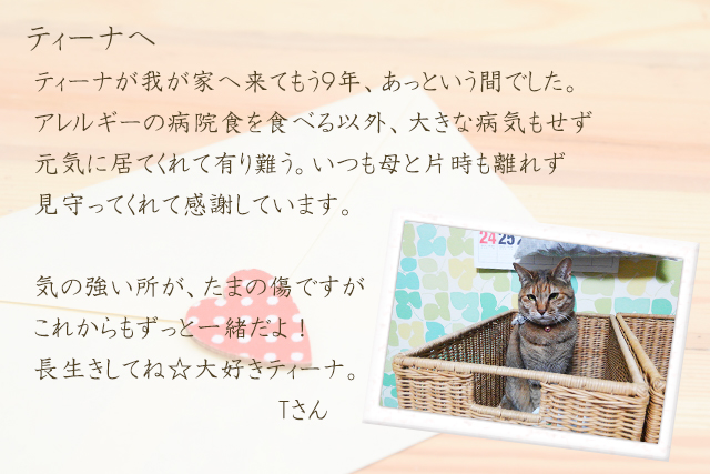 ティーナ