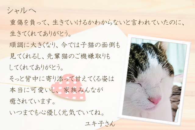 シャル