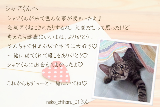 シャア