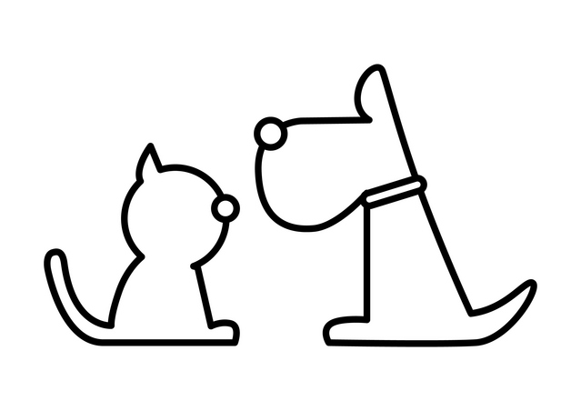 猫 犬 一緒に飼う