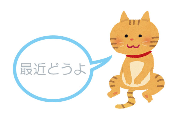 話しかける猫