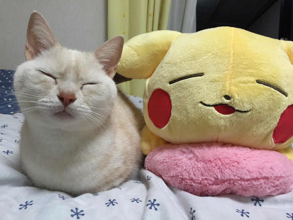 C0wNqzSUoAAu0T_