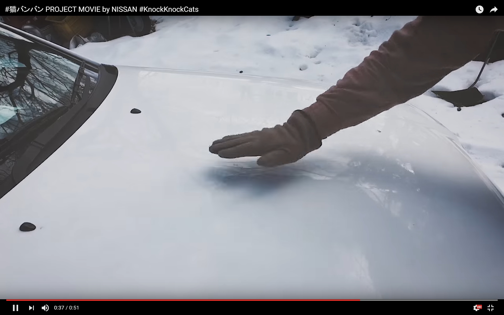 猫バンバンプロジェクト 日産