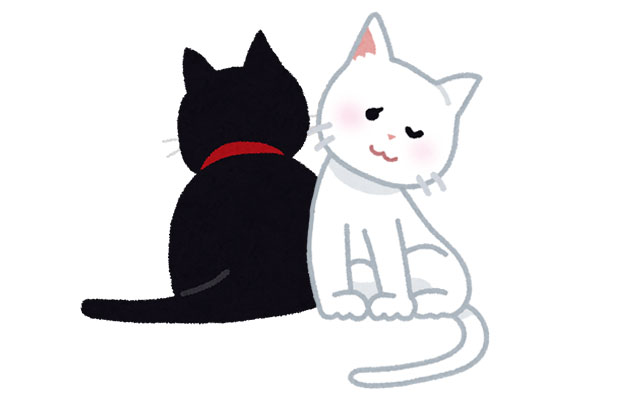 黒猫と白猫