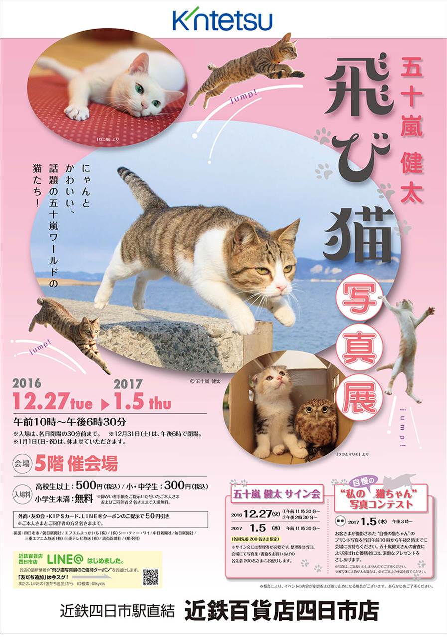 大ヒットねこ写真集 飛び猫 フクとマリモ のカメラマン五十嵐健太の写真展が近鉄百貨店 四日市店にて開催 猫の総合情報サイト ペットスマイルニュースforネコちゃん