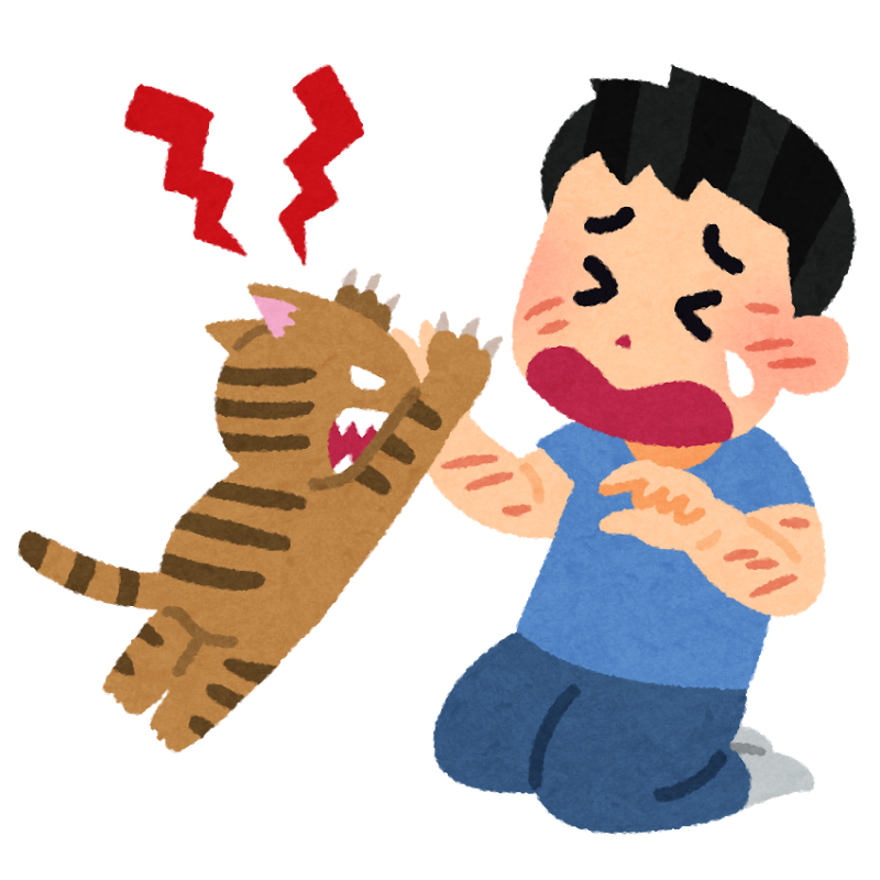 噛む、ひっかく猫