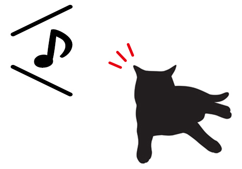 猫 名前 覚える