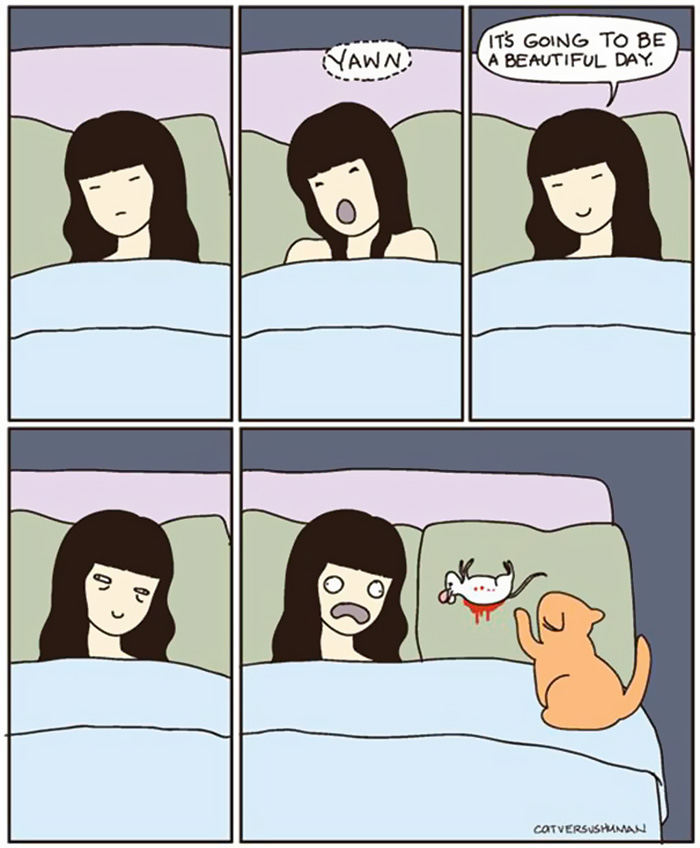 猫あるあるイラスト