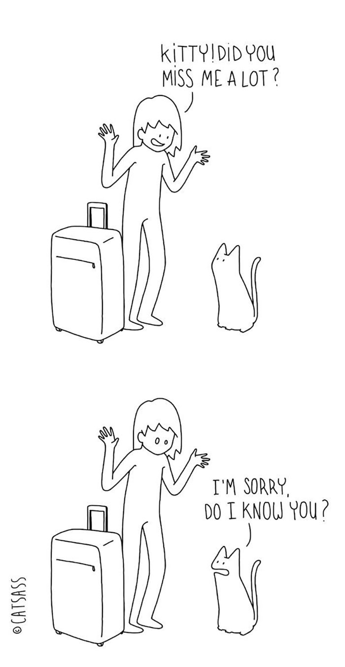 猫あるあるイラスト