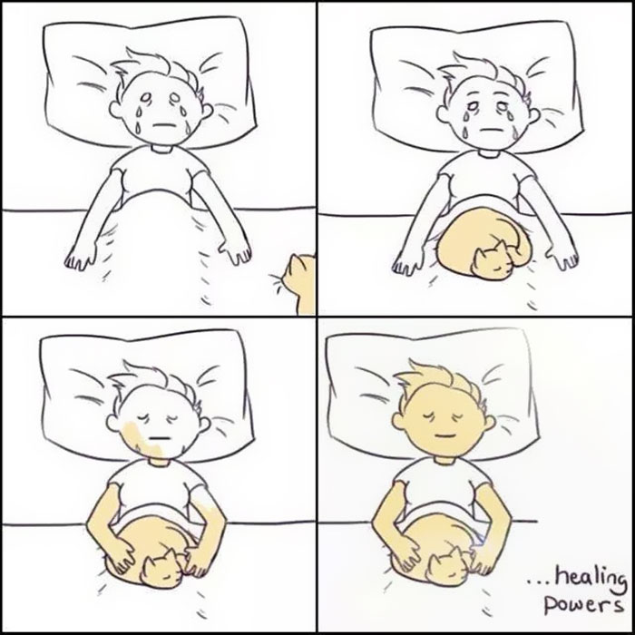 猫あるあるイラスト