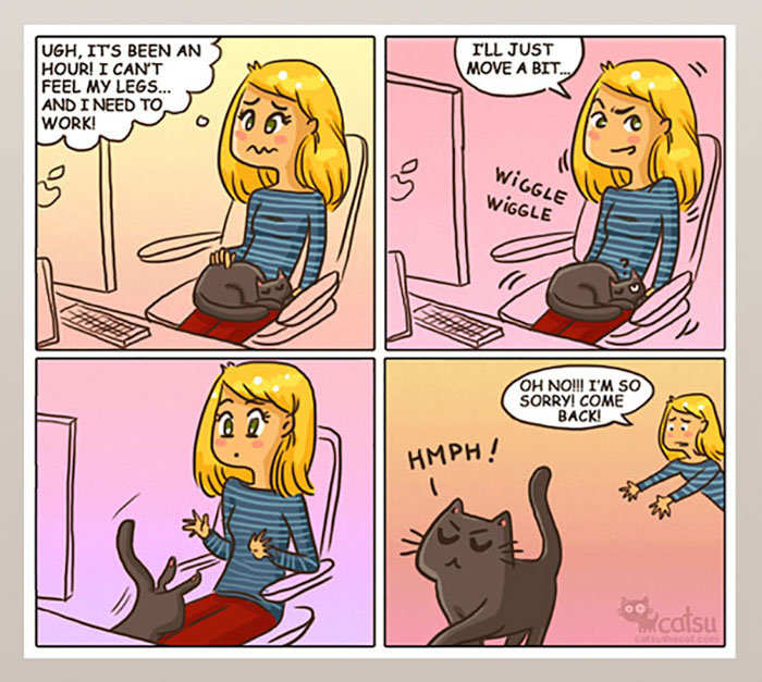 猫あるあるイラスト