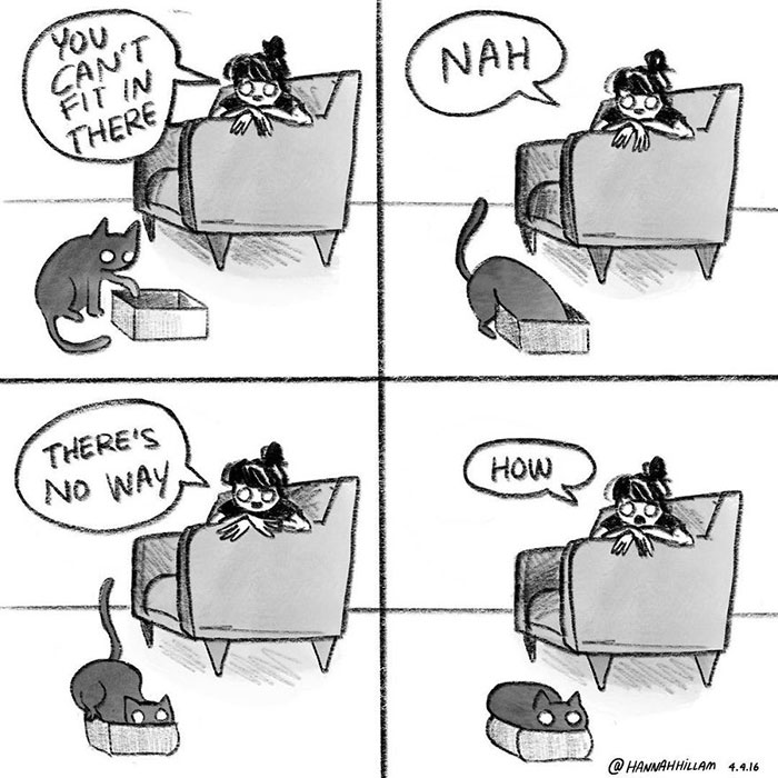 猫あるあるイラスト