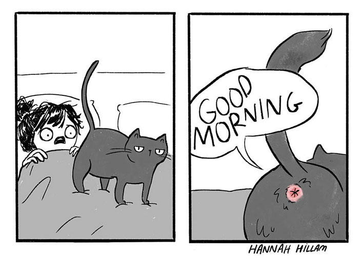 猫あるあるイラスト