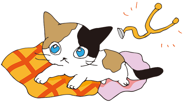 子猫 保護 病気