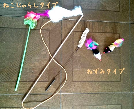 image005