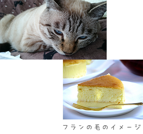 フラン