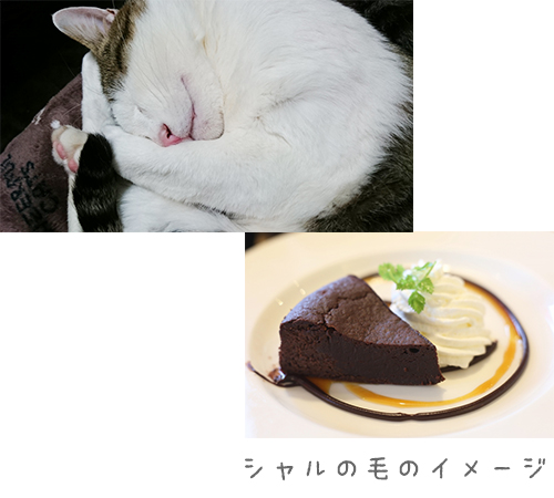 シャル