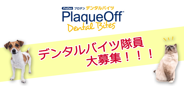dental