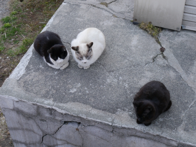 image007