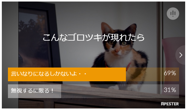 地獄絵図 お願い助けて 自業自得 近所の猫に餌をあげてしまった結果 恐ろしい事が起きてしまった 猫の総合情報サイト ペットスマイルニュースforネコ ちゃん