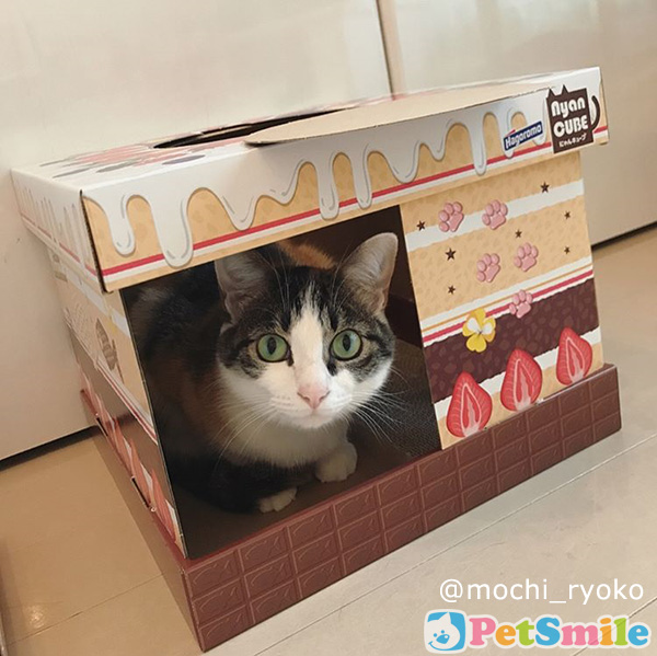 よもぎきなこおはぎねこハウス6_a