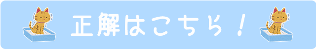 正解はこちら