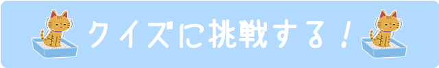 クイズに挑戦する