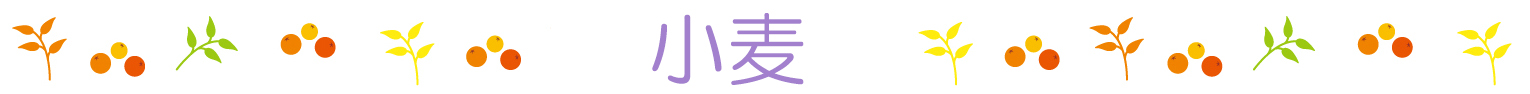 名前ライン